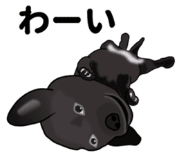 Everyday black Labrador sticker #9330750