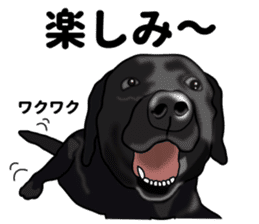 Everyday black Labrador sticker #9330751