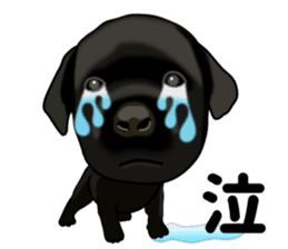 Everyday black Labrador sticker #9330752
