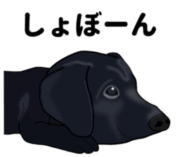 Everyday black Labrador sticker #9330753