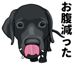 Everyday black Labrador sticker #9330755