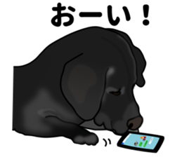 Everyday black Labrador sticker #9330756
