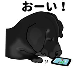 Everyday black Labrador sticker #9330756