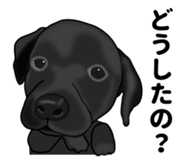 Everyday black Labrador sticker #9330757