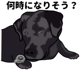 Everyday black Labrador sticker #9330758