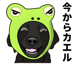 Everyday black Labrador sticker #9330761