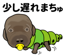 Everyday black Labrador sticker #9330762