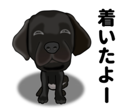 Everyday black Labrador sticker #9330763