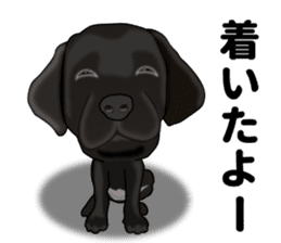 Everyday black Labrador sticker #9330763