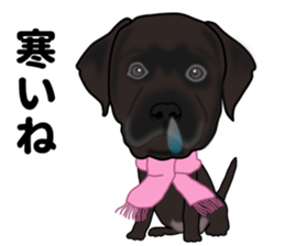 Everyday black Labrador sticker #9330766
