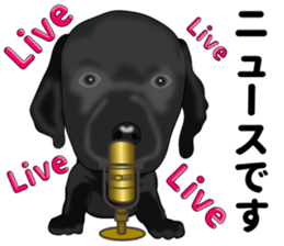 Everyday black Labrador sticker #9330767