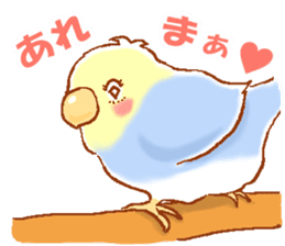 Budgerigars and his friends sticker #9332268