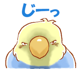 Budgerigars and his friends sticker #9332273