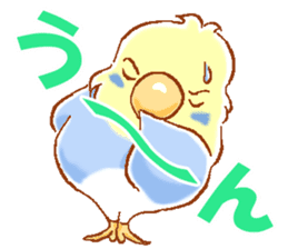 Budgerigars and his friends sticker #9332278