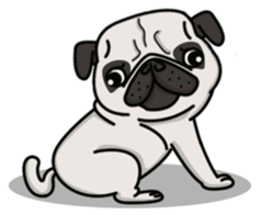 Pug Taro sticker #9334897