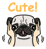 Pug Taro sticker #9334903