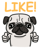 Pug Taro sticker #9334907