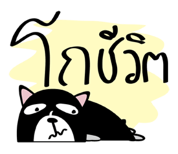 HA-NA thai boy sticker #9336827