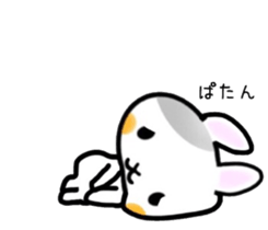 nice rabbit. sticker #9345205