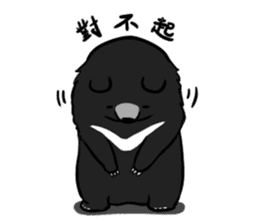 Formosan Moon Bear sticker #9345239