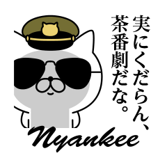 Military cat