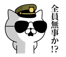 Military cat sticker #9345313