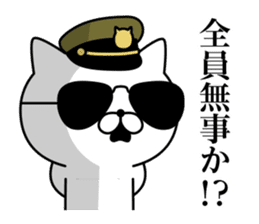 Military cat sticker #9345313