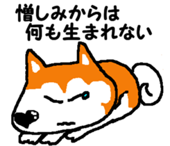 Tennis club for kindergarteners 7 sticker #9345805