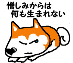 Tennis club for kindergarteners 7 sticker #9345805