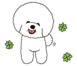 Lovely fluffy Bichon frise sticker #9346129