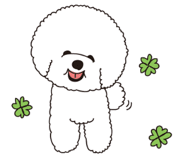 Lovely fluffy Bichon frise sticker #9346129