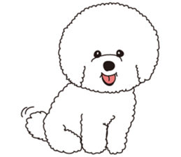 Lovely fluffy Bichon frise sticker #9346130