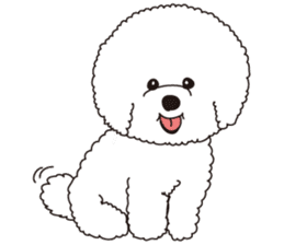 Lovely fluffy Bichon frise sticker #9346130