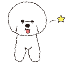 Lovely fluffy Bichon frise sticker #9346133