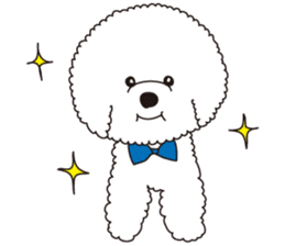 Lovely fluffy Bichon frise sticker #9346138