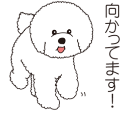 Lovely fluffy Bichon frise sticker #9346141