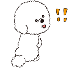 Lovely fluffy Bichon frise sticker #9346147
