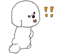 Lovely fluffy Bichon frise sticker #9346147