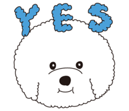 Lovely fluffy Bichon frise sticker #9346149