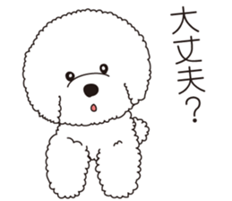 Lovely fluffy Bichon frise sticker #9346154