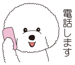 Lovely fluffy Bichon frise sticker #9346156