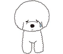 Lovely fluffy Bichon frise sticker #9346160