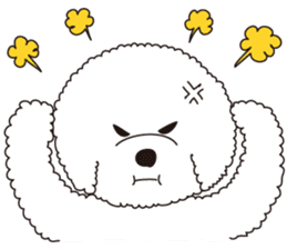 Lovely fluffy Bichon frise sticker #9346162