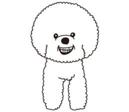 Lovely fluffy Bichon frise sticker #9346163