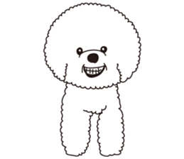 Lovely fluffy Bichon frise sticker #9346163