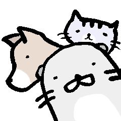 Chiro