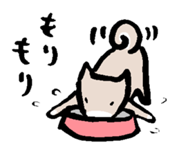 Chiro sticker #9350941