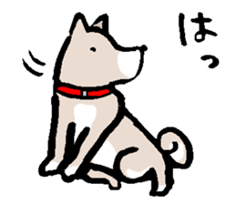 Chiro sticker #9350942