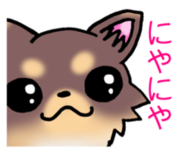 Chocolate color puppy! sticker #9351947