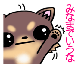 Chocolate color puppy! sticker #9351954